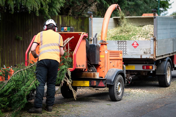 Mulching Services in Belleair Bluffs, FL